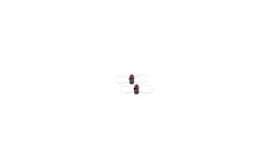 Black Red Women's SIDI Tecno Vr Accessories Australia | WKH-6411